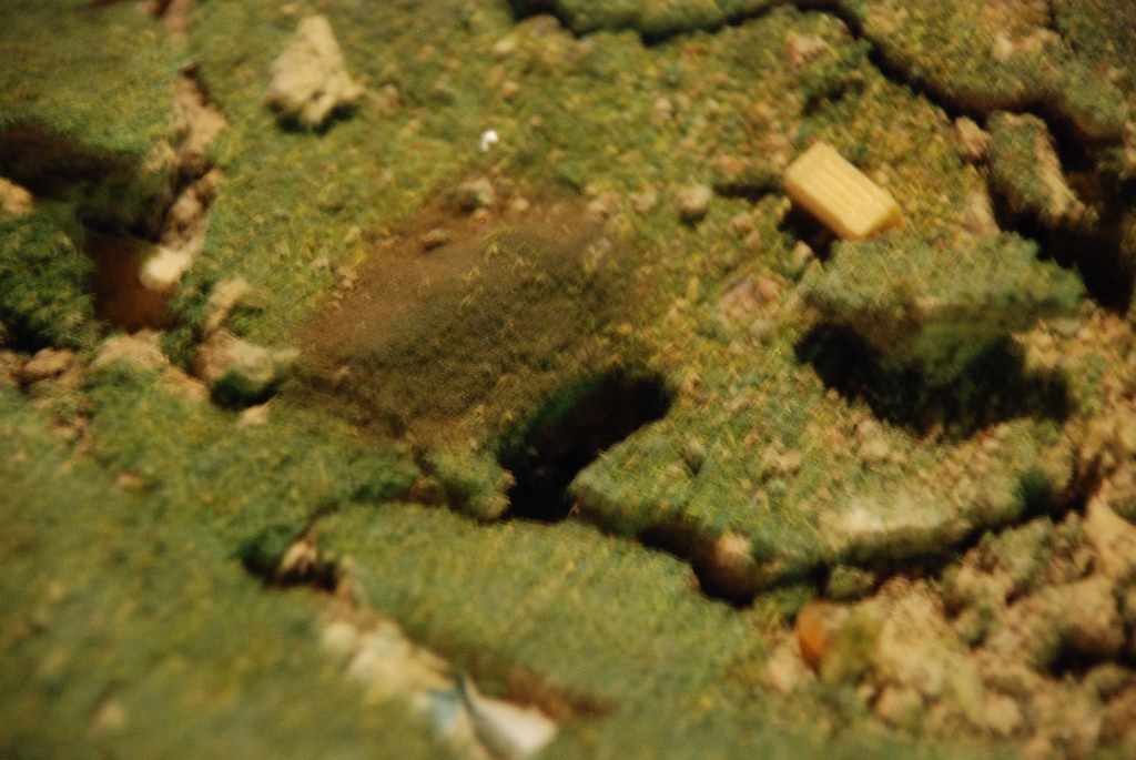 DSC_0063.JPG